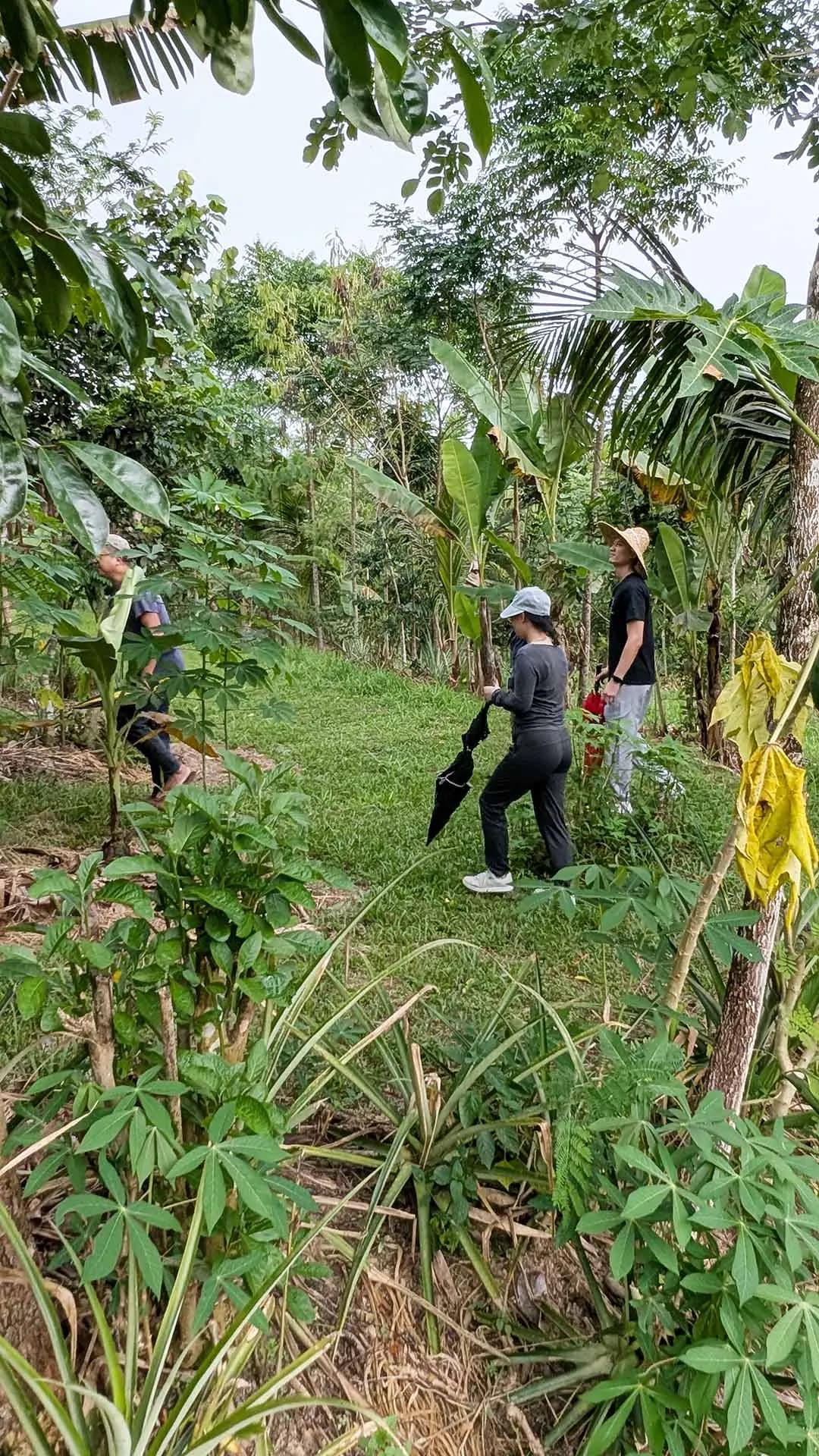 Better Earth Ventures climate expedition in northern Thailand